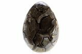 Septarian Dragon Egg Geode - Black Crystals #305835-1